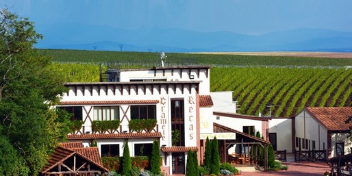 Tranzacție: Grupul Cramele Recaș a preluat o firmă vinicolă înființată în urmă cu 15 ani de investitori italieni