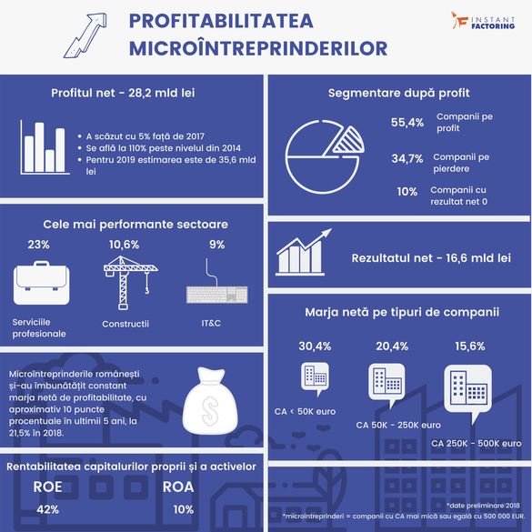 GRAFICE Companiile cu cifra de afaceri sub 50.000 euro au fost cele mai profitabile microîntreprinderi în 2018