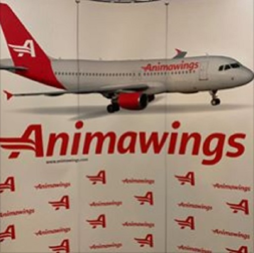 Tranzacție: Compania greacă Aegean cumpără 25% din acțiunile operatorului aerian român Animawings