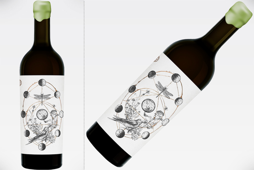 Vinul de azi: Pătrar Syrah 2017