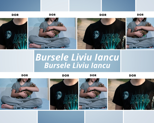 Bursele Liviu Iancu pentru jurnaliști - câștigătoarea lunii mai