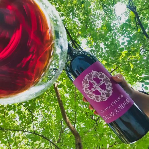 Vinul de azi: Crama Oprișor Fetească Neagră Premium 2019