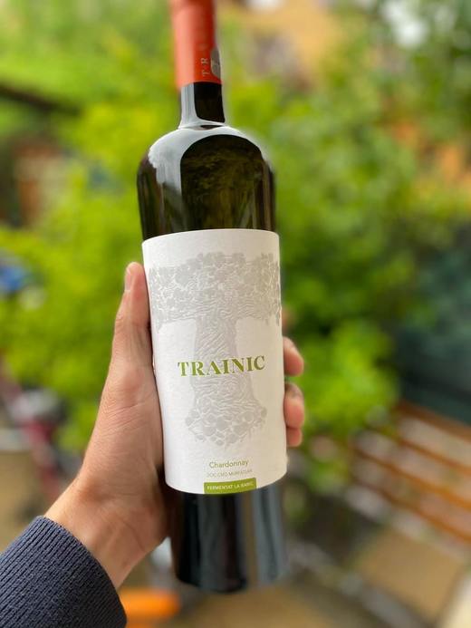 Vinul de azi: Trainic Chardonnay 2021 - Medalie de Aur Berliner Wein Trophy 2022