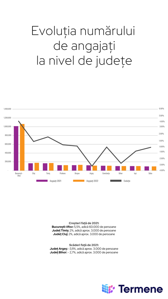 INFOGRAFICE Analiza Termene.ro: 2022, cel mai profitabil an pentru companiile românești