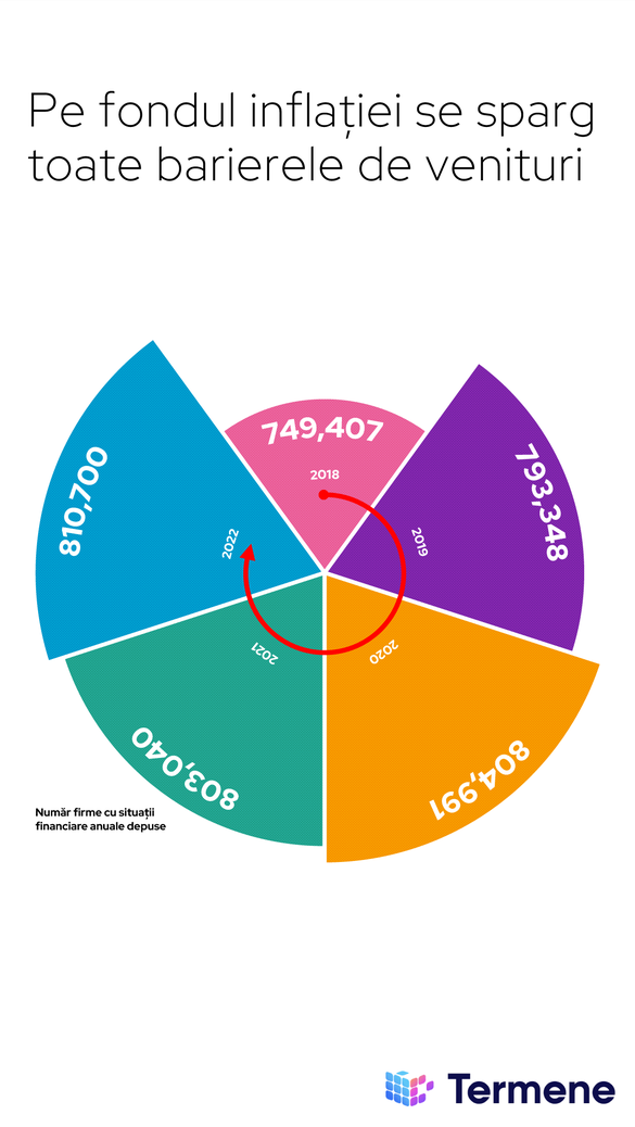 INFOGRAFICE Analiza Termene.ro: 2022, cel mai profitabil an pentru companiile românești