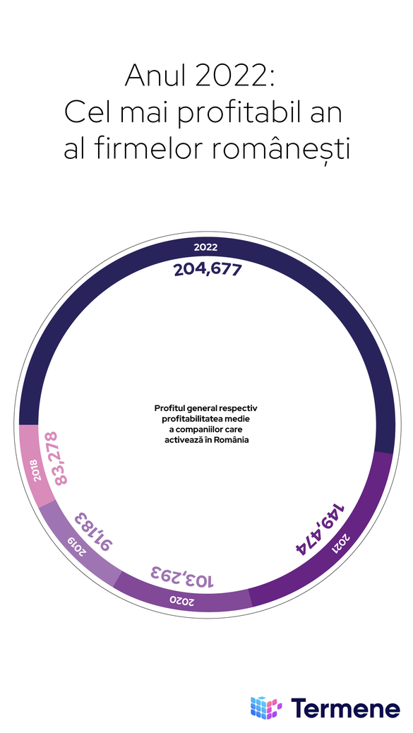 INFOGRAFICE Analiza Termene.ro: 2022, cel mai profitabil an pentru companiile românești