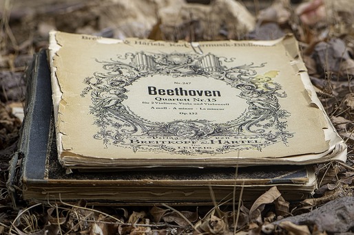 Olanda declanșează Operațiunea Beethoven: Convinge una din cele mai valoroase companii să nu plece
