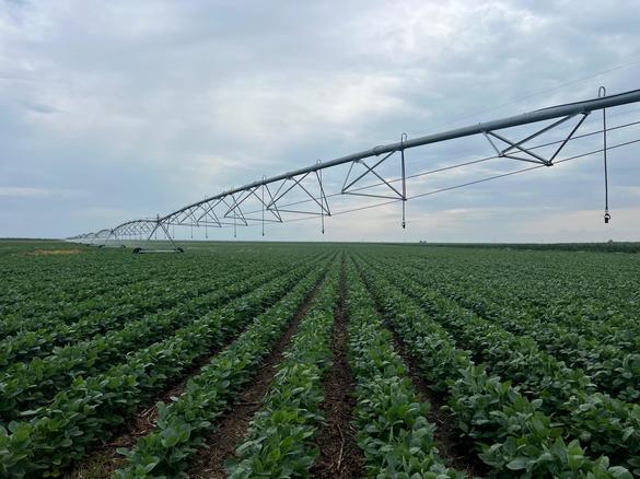 FOTO JD Agro Cocora a investit peste 2 milioane euro într-un sistem modern de irigații
