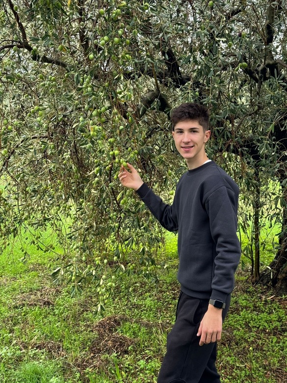 FOTO Familia Filipaș, deținătoare a brandului D’Olive, a achiziționat o livadă de măslini în Creta