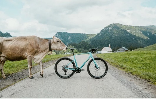 ULTIMA ORĂ Un nou mare producător de biciclete alege România în dauna Austriei