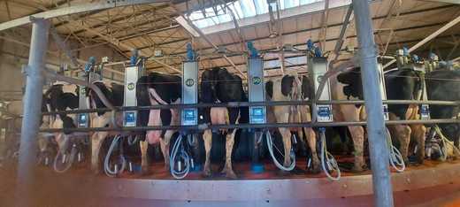 Nouă fabrică în România - DN Agrar, cu acționariat majoritar din Olanda, accesează un credit de la Exim Banca Românească pentru construcția unei fabrici de lapte