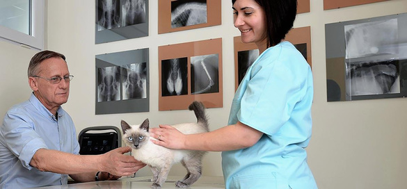 FOTO PartnerVet se extinde în Brașov și preia clinica veterinară Lempeș