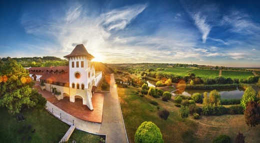 Tranzacție pe piața vinului din România: Purcari intră în cea mai importantă regiune viticolă, cumpără CaraprodVin