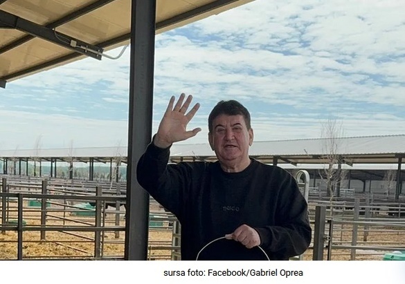 FOTO Ex-ministrul Gabriel Oprea investește, cu Nețoiu, într-o fermă de vite rasa Black Angus