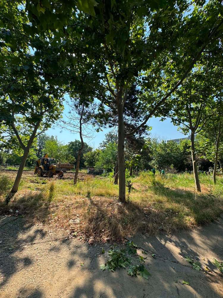 FOTO Start pentru un mare parc în București, cu vagon metrou și turn belvedere. Au început lucrările la noul Parc Grozăvești. Aproape 31.000 de metri pătrați de spațiu verde redați comunității