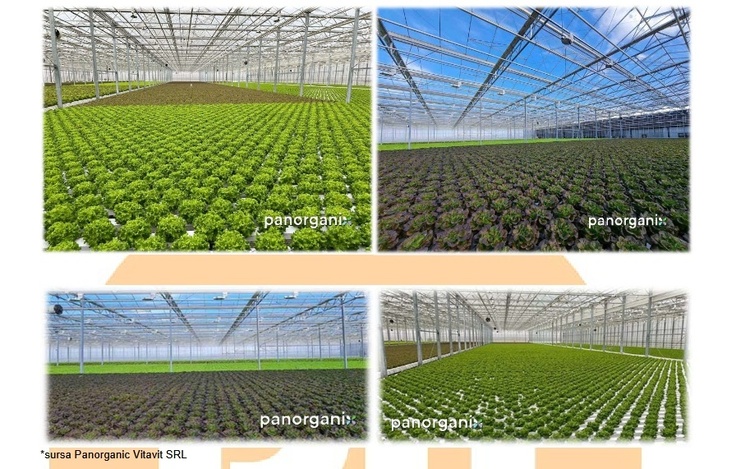 FOTO Companie românească vândută. DN Agrar, cu acționariat majoritar din Olanda, a semnat o ofertă angajantă pentru achiziția Panorganic Vitavit