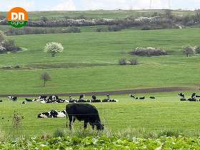 Cel mai mare producător de lapte de vacă din Europa înregistrează o marjă EBITDA de 40% în S1 2026