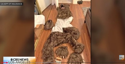 Fraudă în asigurări cu mașini de lux. Daune provocate în costum de urs