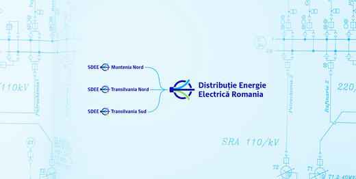 Licitație anulată la Distribuție Energie Electrică România pentru polița D&O destinată conducerii