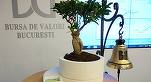 Alser Forest vine astăzi la bursă cu obligațiuni în valoare de 1,5 milioane euro
