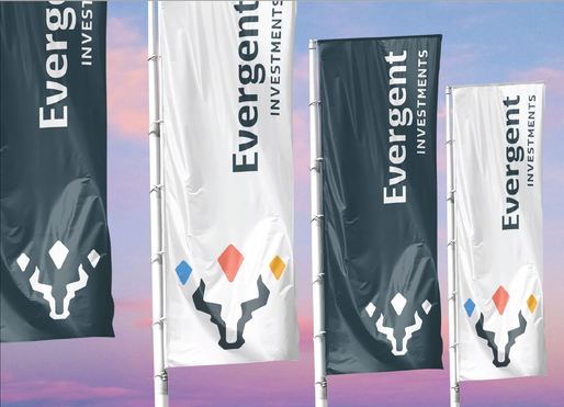 Acțiunile Everegent Investments – pe primul loc în clasamentul tranzacțiilor. Transfer special cu titluri Hidroelectrica