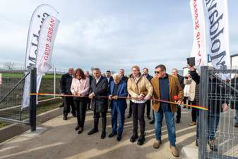 Grup Șerban Holding își reduce de 5 ori profitul net la 9 luni