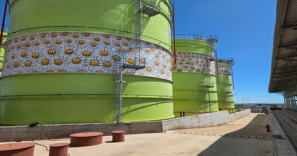 JT Grup Oil vine cu rezultate ameliorate la T1
