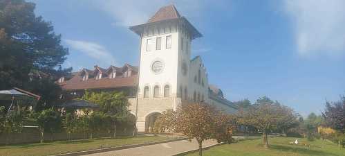 Vânzările Purcari au scăzut în prima jumătate a anului