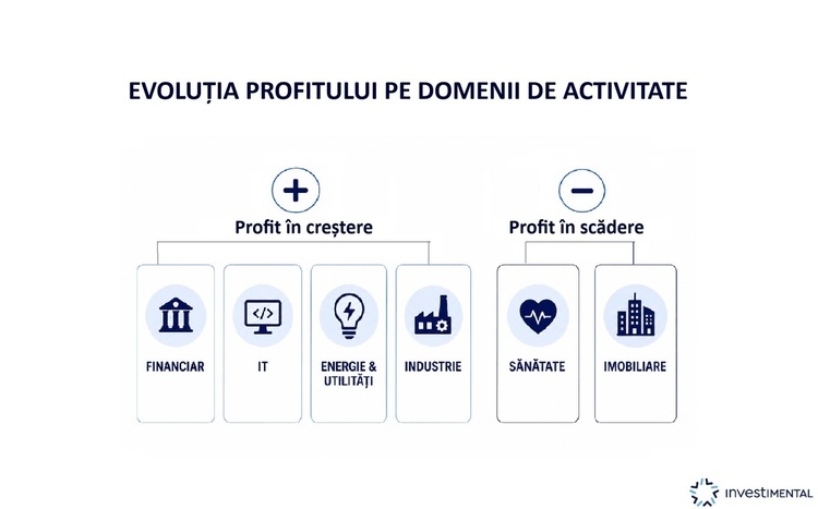 GRAFIC Unde se simte criza. Companiile cu capitalizare mare de pe bursă au arătat robustețe la impasul economiei și au venit cu profituri în creștere la jumătatea anului. Ce sectoare performează și unde se resimte criza