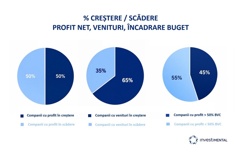 GRAFIC Unde se simte criza. Companiile cu capitalizare mare de pe bursă au arătat robustețe la impasul economiei și au venit cu profituri în creștere la jumătatea anului. Ce sectoare performează și unde se resimte criza