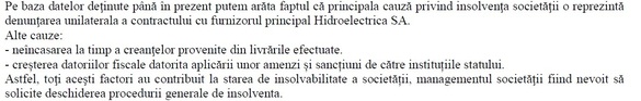 DOCUMENT Energy Holding, notoriu prin scandalul Băsescu-Tăriceanu-Buzăianu, își justifică insolvența chiar prin denunțarea unilaterială a contractului cu Hidroelectrica: eram în insolvabilitate încă din decembrie 2016