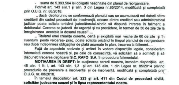 DOCUMENTE Fiscul cere intrarea în faliment a RAFO Onești