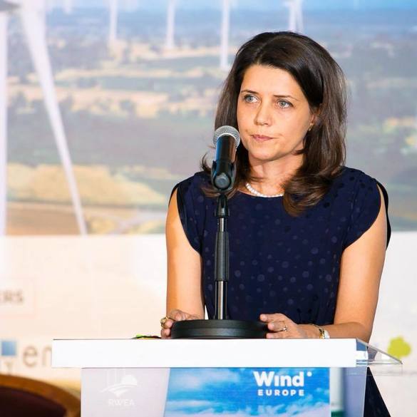 Claudia Brânduș, președintele Asociația Română pentru Energie Eoliană – RWEA