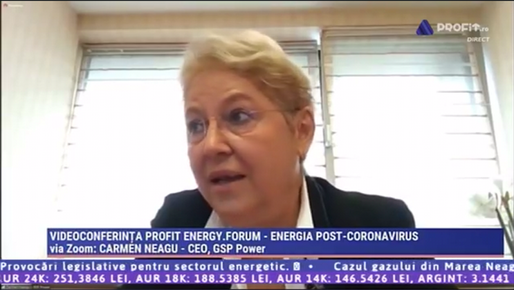 PROFIT ENERGY.FORUM Neagu, GSP Power: Vrem să facem eoliene offshore la Marea Neagră