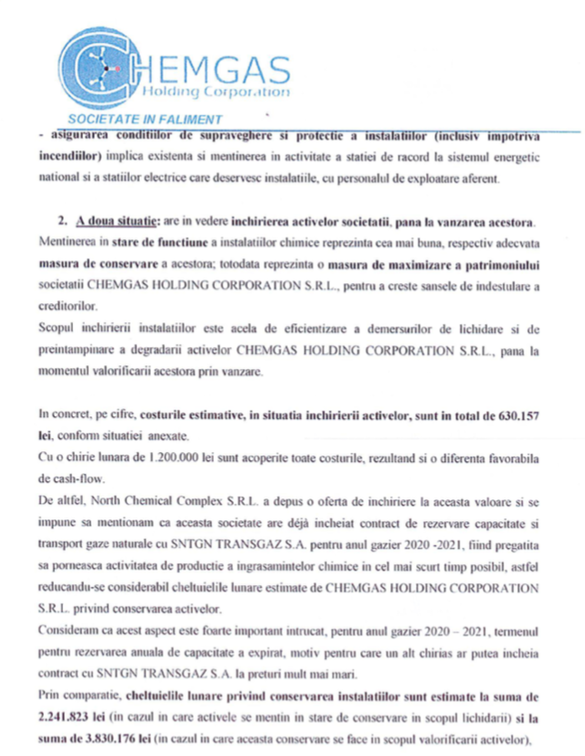 DOCUMENT Statul refuză continuarea producției Chemgas Holding al lui Ioan Niculae prin închirierea activelor combinatului către o firmă controlată indirect de Petrică Buduru