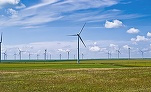 Un al doilea mare parc eolian pregătit pentru România. Grup controlat de un ecologist și expert în modelare statistică, cu lucrări academice inclusiv legate de pariurile pe meciurile de fotbal