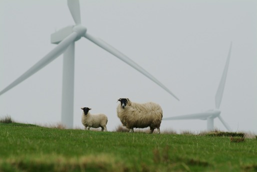 Tranzacție: Danezii de la Eurowind Energy au preluat integral proiectul eolian dobrogean Pecineaga
