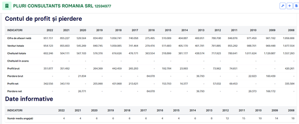 Evoluția cifrelor financiare ale Pluri Consultants SRL (Sursa: termene.ro)