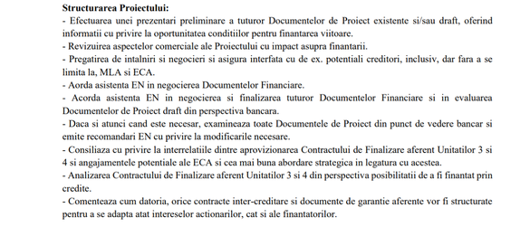 DOCUMENT Reactoarele 3 și 4 de la Cernavodă: Se caută consultant 