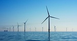 DECIZIE Guvernul a adoptat draftul Legii eolienelor offshore. Ministerul Energiei va avea 3 luni să facă studiu pentru concesionări de perimetre, subvenții, taxe și redevențe