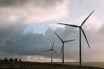 Producția de energie eoliană a Germaniei a crescut semnificativ 