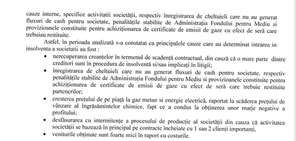 DOCUMENT Combinatul de îngrășăminte din Turnu Măgurele al lui Ioan Niculae - scos din nou la vânzare. Planul de reorganizare