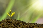 România primește bani de la UE pentru proiecte energetice. Cea mai mare plată de până acum prin Fondul de modernizare