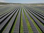 FOTO Danezii de la Eurowind Energy investesc în România peste 174 milioane euro în dezvoltarea unui nou parc fotovoltaic. Va deveni cel mai mare din portofoliul local al companiei