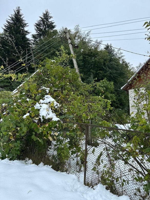 FOTO&VIDEO Electrica SA îl invită pe Charlie Ottley să îi cunoască echipele de intervenție la avarii, după declarații dure ale ministrului Energiei