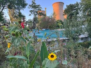 FOTO O șefă din RA-APPS a fost numită director general provizoriu la producătorul de căldură al Capitalei