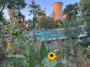 FOTO O șefă din RA-APPS a fost numită director general provizoriu la producătorul de căldură al Capitalei