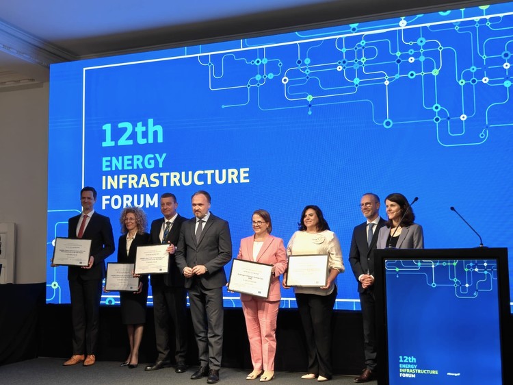 Proiectul Smart Grid CARMEN a obținut o finanțare de 104 milioane euro
