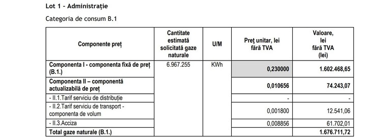 DOCUMENT Statul NU a reușit să cumpere ″la grămadă″ gaze naturale pentru instituțiile publice din România, la preț egal cu fostul plafon. Ce furnizori au ofertat