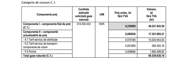 DOCUMENT Statul NU a reușit să cumpere ″la grămadă″ gaze naturale pentru instituțiile publice din România, la preț egal cu fostul plafon. Ce furnizori au ofertat